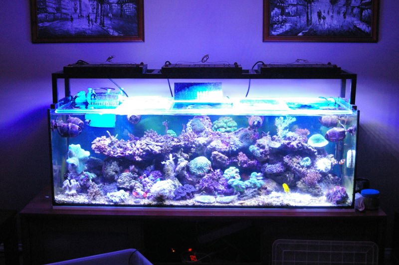 Led Aquarium Lighting